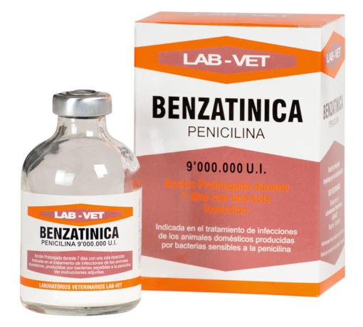 Benzatinica antibiótico para ovinos, caprinos porcinos y caninos